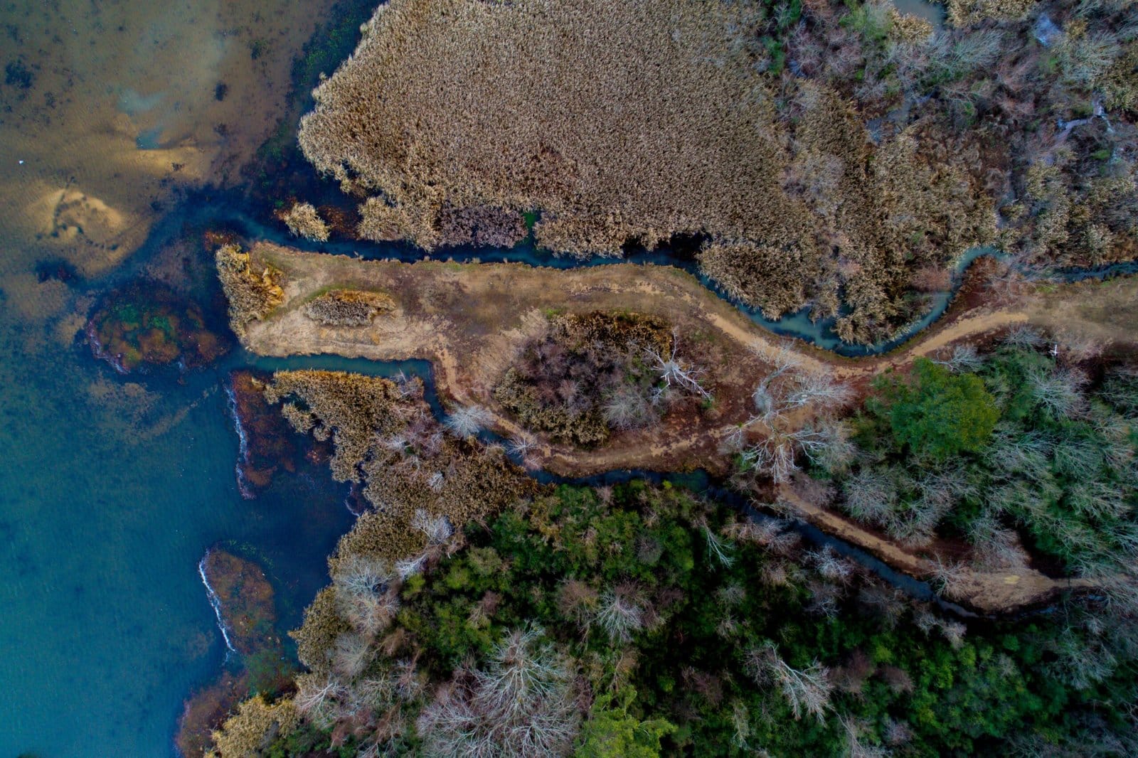 Estuarine Mapping: Otimizando o custo de energia nas transformações organizacionais - The Cynefin Co. Brazil