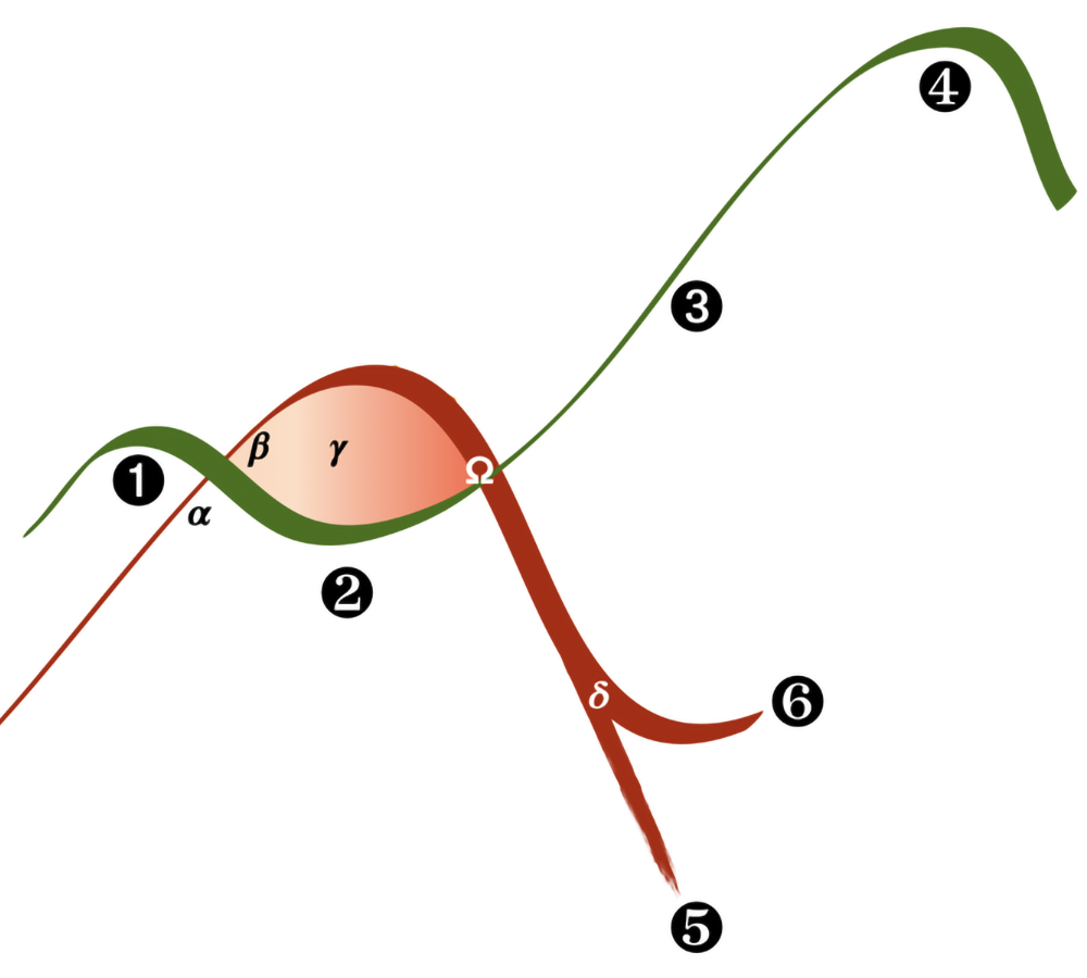 The Cynefin Co. Brazil - Flexuous Curves