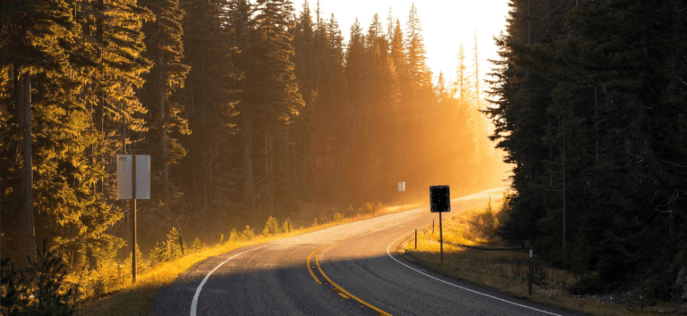 Flexuous Curves e as Lentes do Passado, Presente e Futuros - The Cynefin Co. Brazil