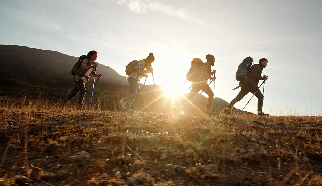 Ação para Transformação - The Cynefin Co. Brazil
