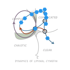 Cynefin® Dynamics - Cynefin® Basecamp