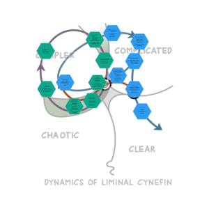 Cynefin® Dynamics - Cynefin® Basecamp