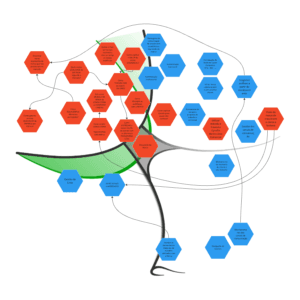 Cynefin® Framework - Cynefin® Basecamp