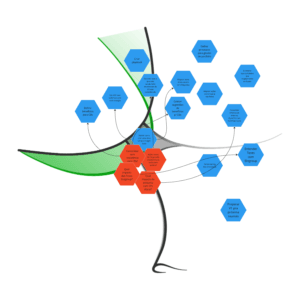 Cynefin® Framework - Cynefin® Basecamp