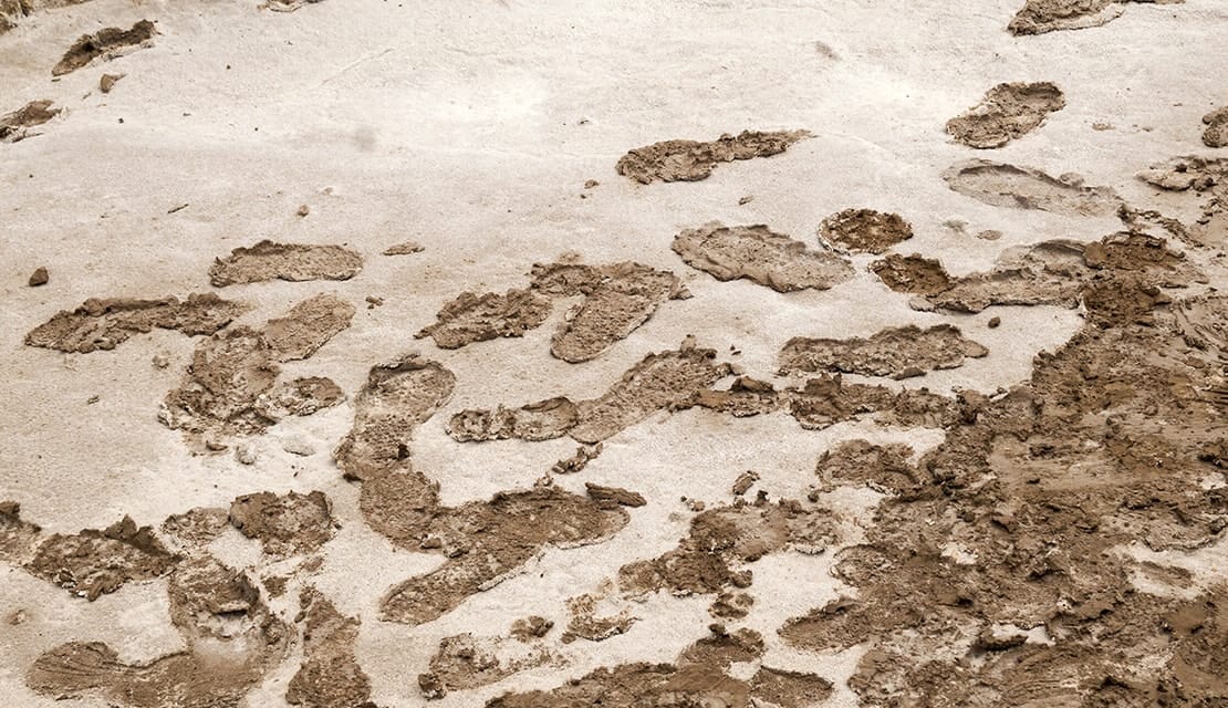 Sondagem para Transformação - The Cynefin Co. Brazil