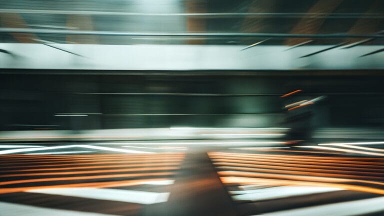 cynefin_programa_dynamical_leadership