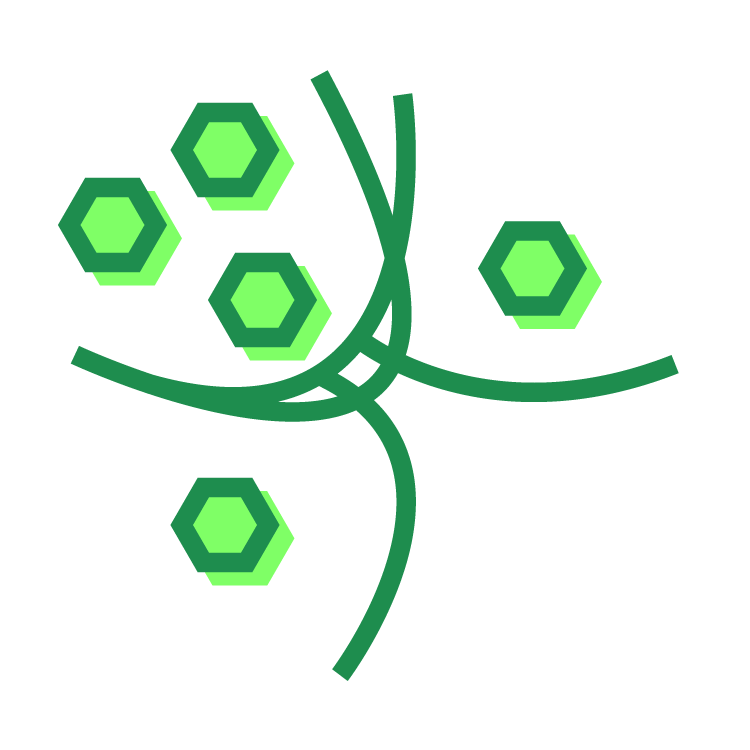 The Cynefin Co. Brazil - Aplicação Prática de Fundamentos Avançados