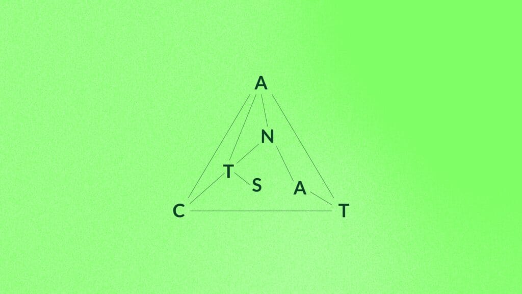 Como ler contextos organizacionais através do mapeamento de Actants - The Cynefin Co. Brazil