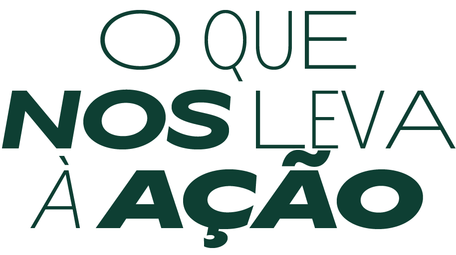 O que nos leva à Ação - The Cynefin Co. Brazil