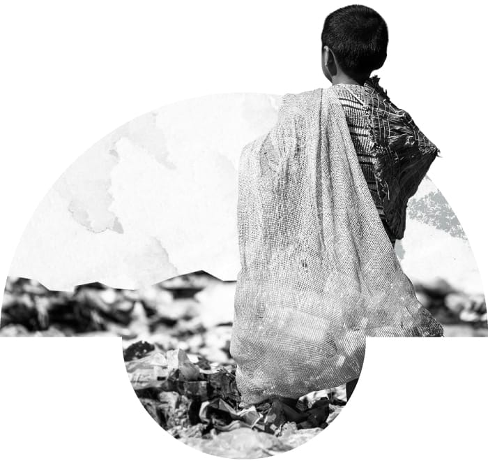 O que nos leva à Ação - The Cynefin Co. Brazil