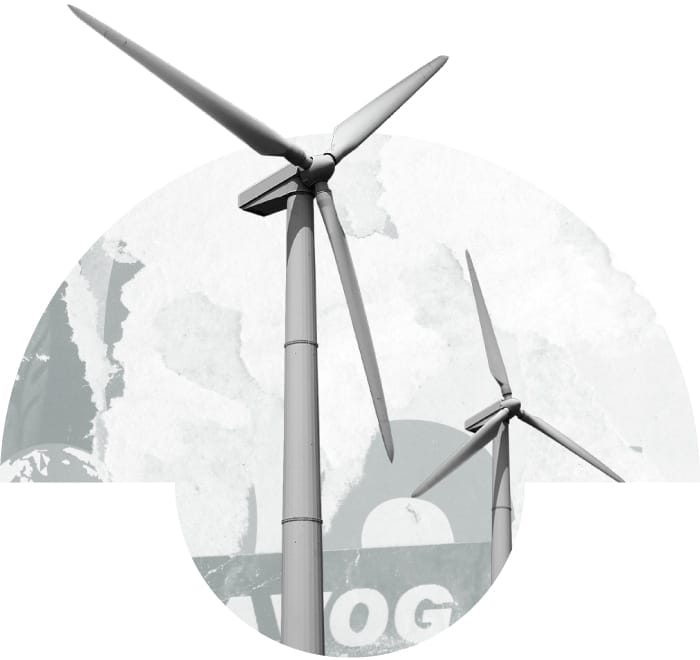 O que nos leva à Ação - The Cynefin Co. Brazil