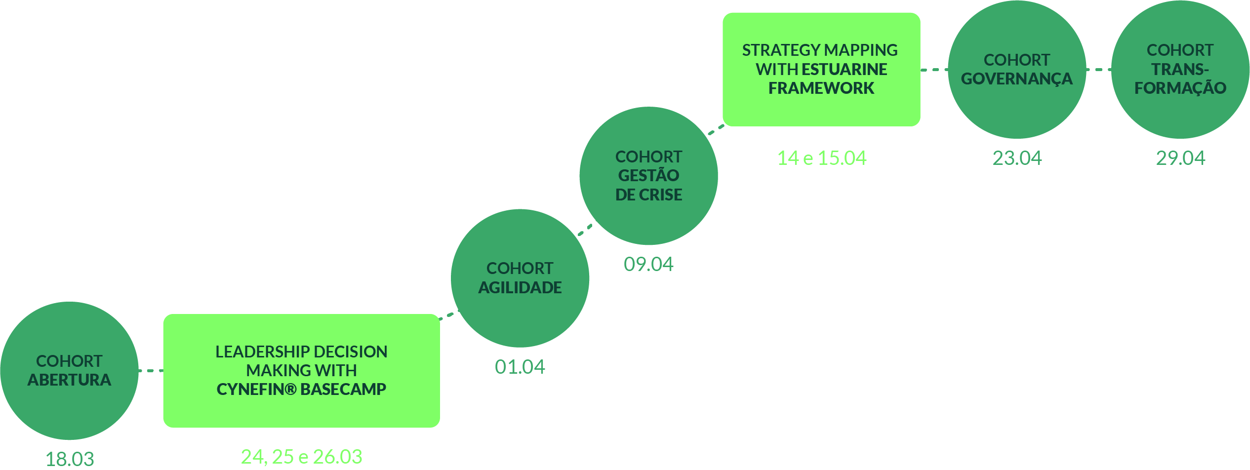 Programa Dynamical Leadership - Trilha 2026