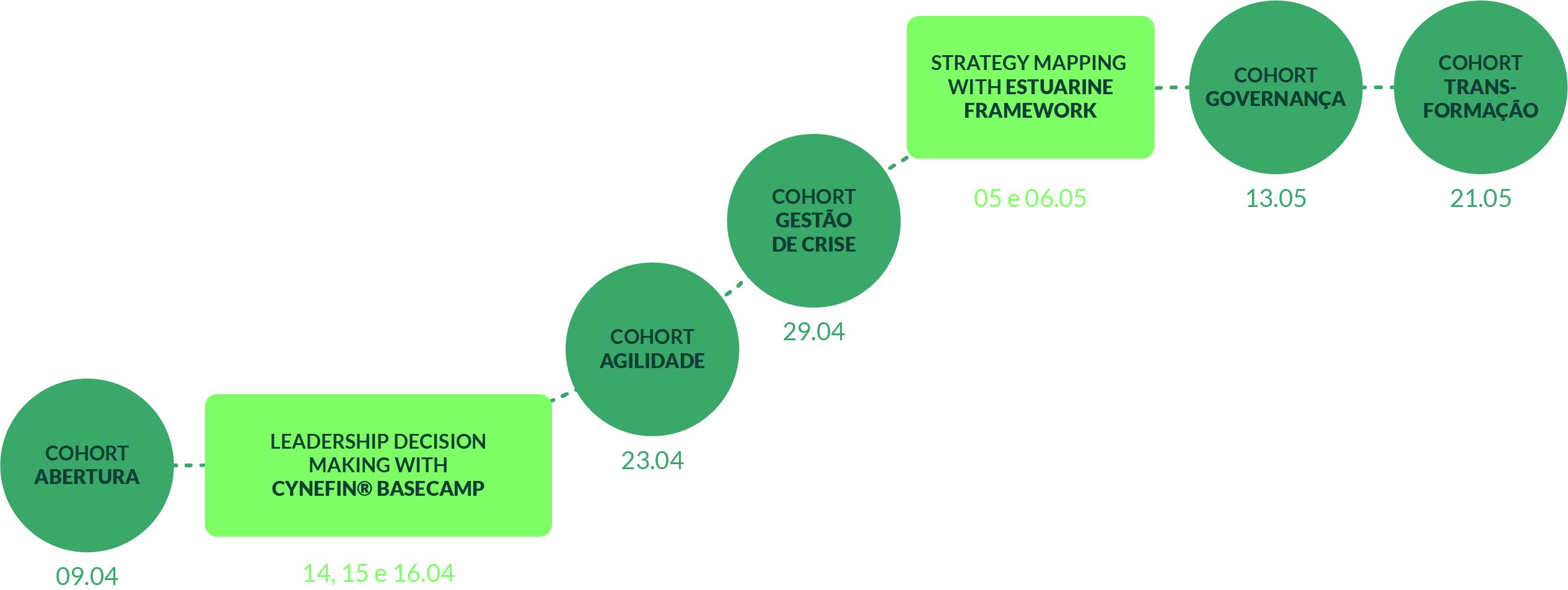 Programa Dynamical Leadership - Trilha 2026