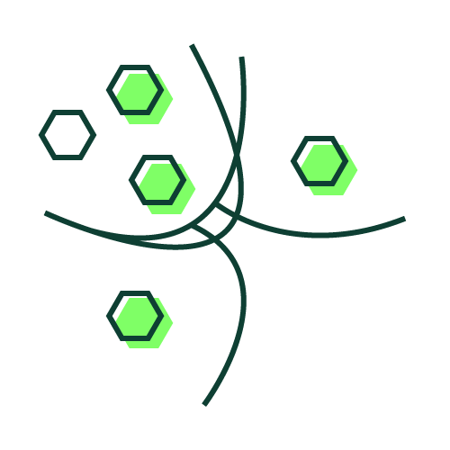 The Cynefin Co. Brazil - Cynefin Framework