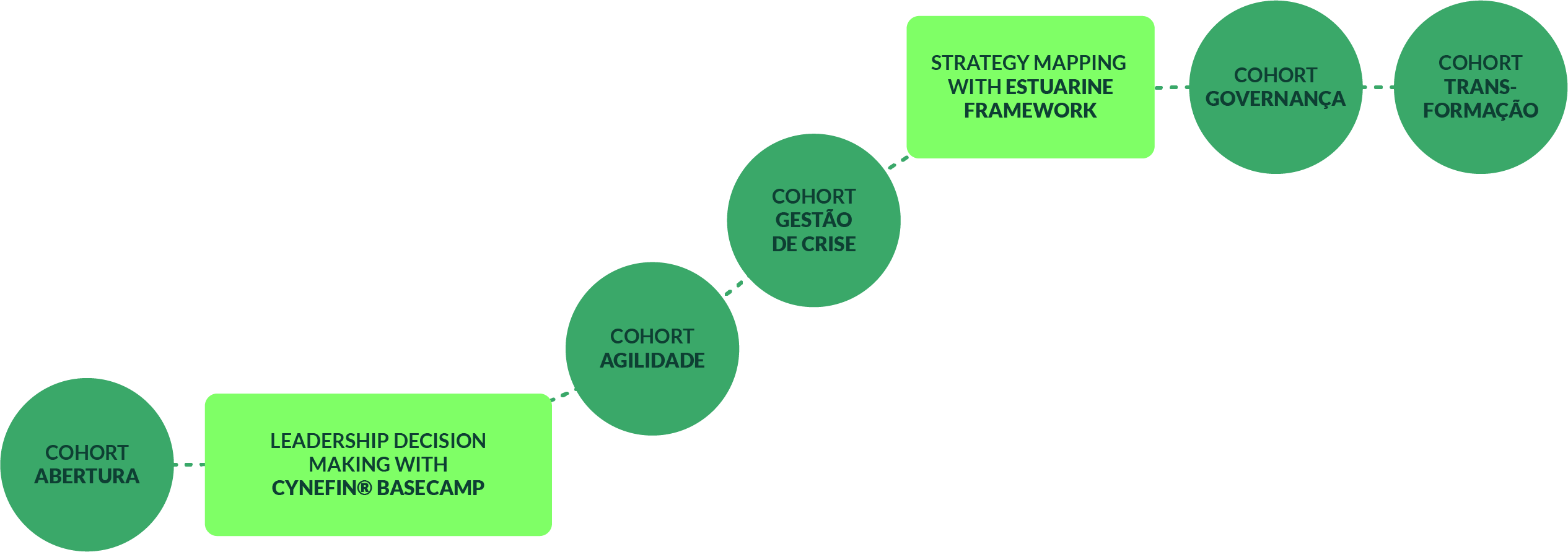 Programa Dynamical Leadership - Trilha