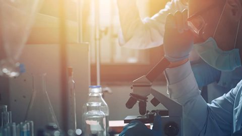 Mapeando Desafios na Gestão Organizacional com o SenseMaker®